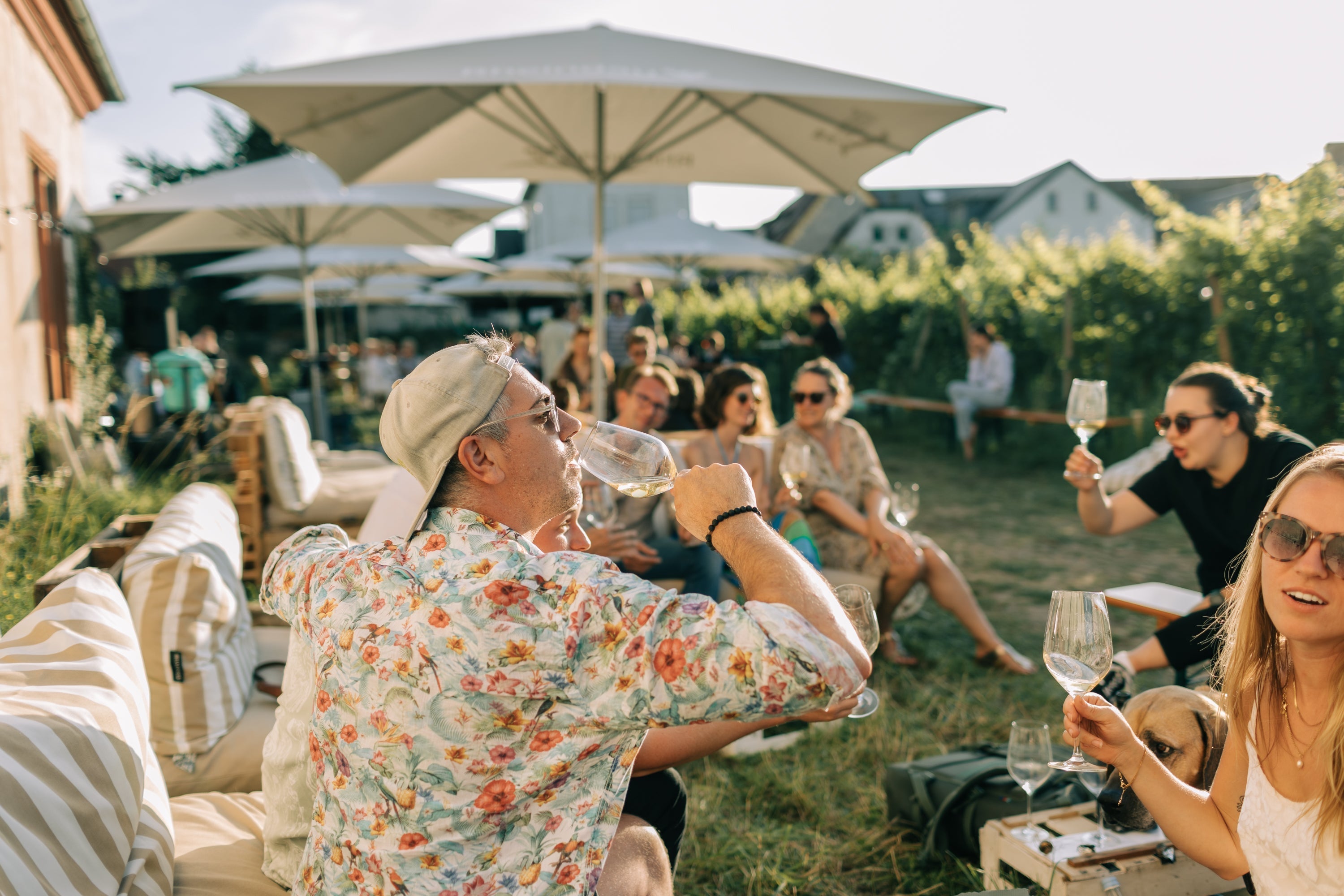 Afterwork Sundowner am 26. Juni 2025