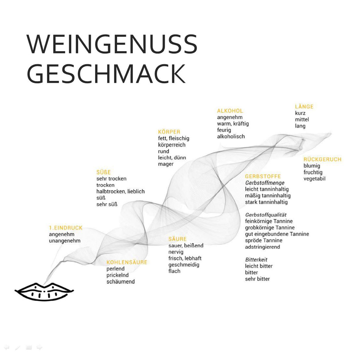 Weinleidenschaft #7 - Der Geschmack des Weines